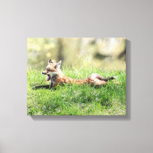 Red Fox Kit Leinwanddruck (Vorderseite)