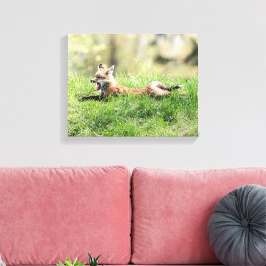 Red Fox Kit Leinwanddruck (Insitu (Wohnzimmer))