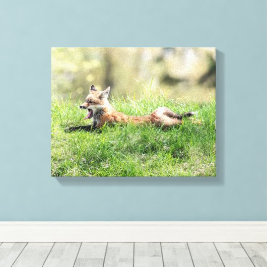 Red Fox Kit Leinwanddruck (Insitu (Holzboden))