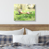 Red Fox Kit Leinwanddruck (Insitu (Schlafzimmer))