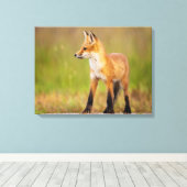 Red Fox Kit Leinwanddruck (Insitu (Holzboden))