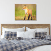 Red Fox Kit Leinwanddruck (Insitu (Schlafzimmer))