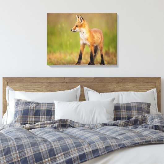 Red Fox Kit Leinwanddruck (Insitu (Schlafzimmer))