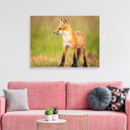 Red Fox Kit Leinwanddruck (Insitu (Wohnzimmer))