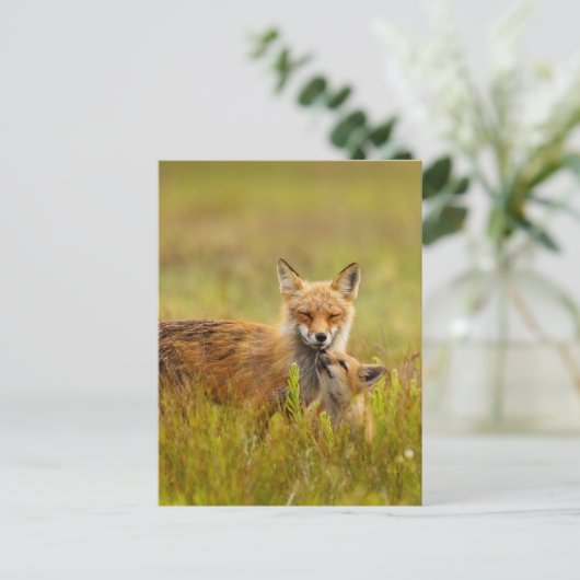 Red Fox Kit mit der Momma Post Card Postkarte (Stehend Vorderseite)