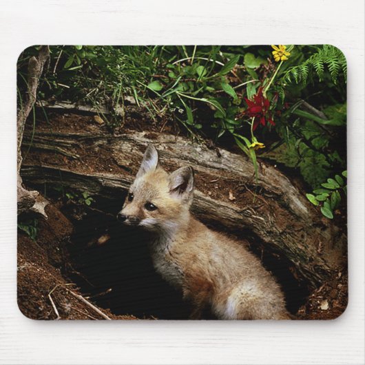 Red Fox Kit Mousepad (Vorne)
