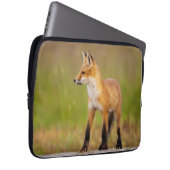 Red Fox Kit Notebookschlauch Laptopschutzhülle (Vorne Rechts)