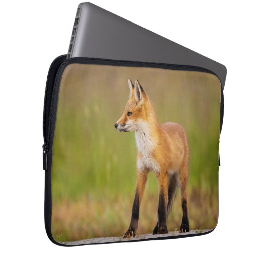 Red Fox Kit Notebookschlauch Laptopschutzhülle (Vorne Rechts)