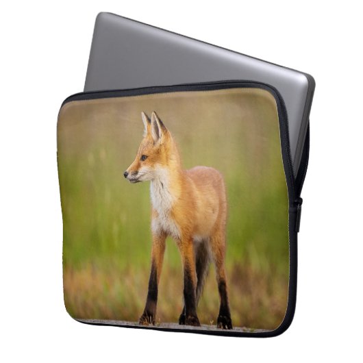 Red Fox Kit Notebookschlauch Laptopschutzhülle (Vorderseite Links)