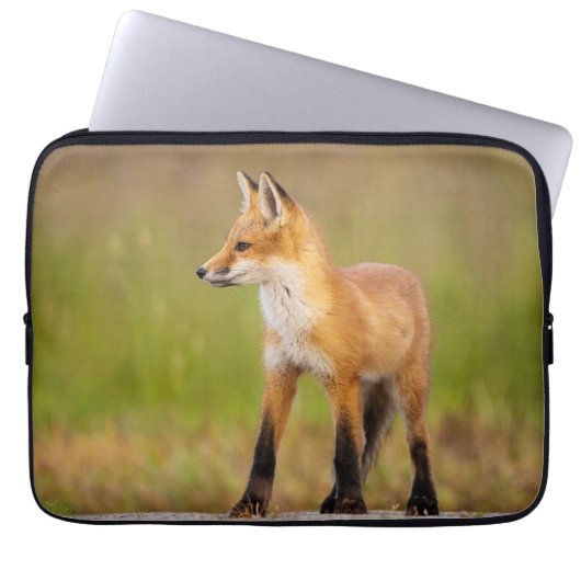Red Fox Kit Notebookschlauch Laptopschutzhülle (Vorderseite)