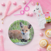 Red Fox Kit Pappteller (Party)