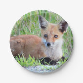 Red Fox Kit Pappteller (Vorderseite)