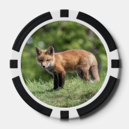 Red Fox Kit Pokerchips