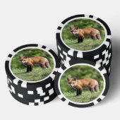 Red Fox Kit Pokerchips (Stapel)