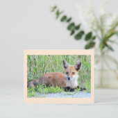 Red Fox Kit Postkarte (Stehend Vorderseite)