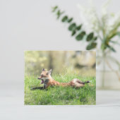 Red Fox Kit Postkarte (Stehend Vorderseite)