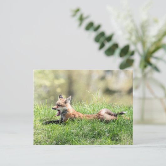 Red Fox Kit Postkarte (Stehend Vorderseite)