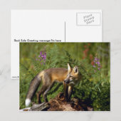 Red Fox Kit Postkarte (Vorne/Hinten)