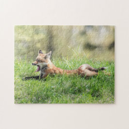 Red Fox Kit Puzzle