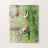 Red Fox Kit Puzzle (Vertikal)