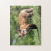 Red Fox Kit Puzzle (Vertikal)