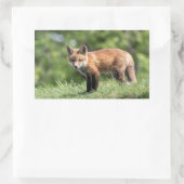 Red Fox Kit Rechteckiger Aufkleber (Tasche)