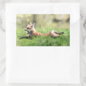 Red Fox Kit Rechteckiger Aufkleber (Tasche)