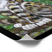 Red Fox Kit und Cat Poster, Original Animal Art Poster (Ecke)