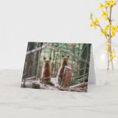 Red Fox Kits beobachten Karte (Gelbe Blume)