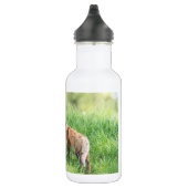 Red Fox Kits Edelstahlflasche (Rechts)