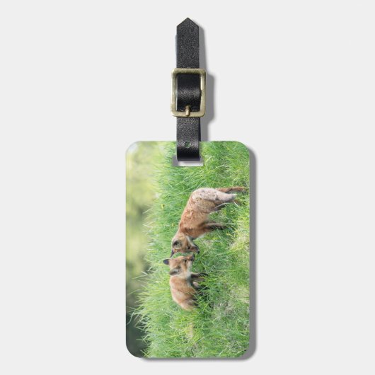 Red Fox Kits Gepäckanhänger (Vorderseite vertikal)