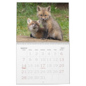 Red Fox Kits Kalender (Mär 2027)