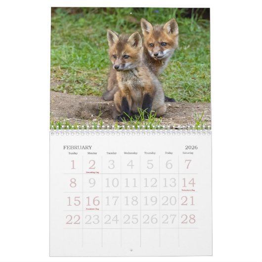 Red Fox Kits Kalender (Feb 2026)