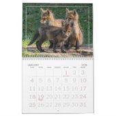 Red Fox Kits Kalender (Jan 2026)