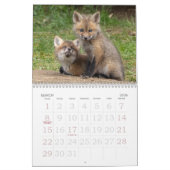 Red Fox Kits Kalender (Mär 2026)