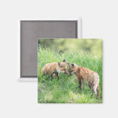 Red Fox Kits Magnet (Vorderseite/Rückseite)