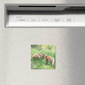 Red Fox Kits Magnet (In Situ (Geschirrspüler))