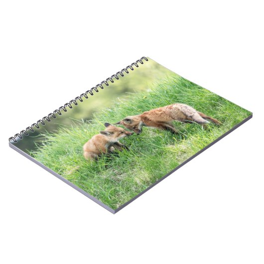 Red Fox Kits Notizblock (Linke Seite)