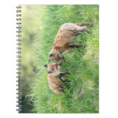 Red Fox Kits Notizblock (Vorderseite)