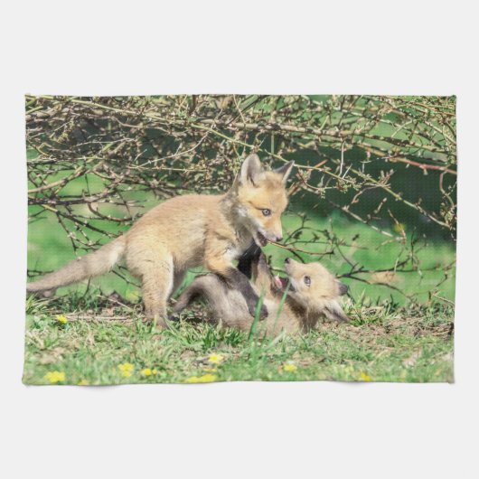 Red Fox Kits Playing Geschirrtuch (Horizontal)