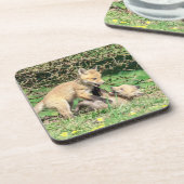 Red Fox Kits Playing Getränkeuntersetzer (Linke Seite)