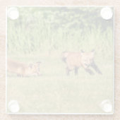 Red Fox Kits Playing Glasuntersetzer (Rückseite)
