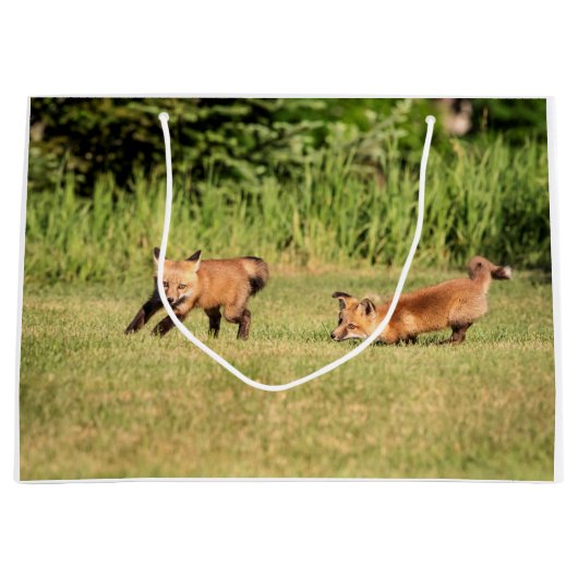 Red Fox Kits Playing Große Geschenktüte (Vorderseite)