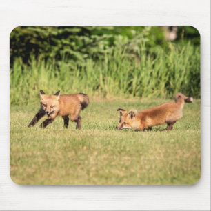 Red Fox Kits Playing Mousepad