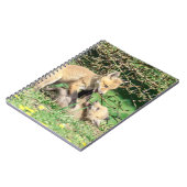 Red Fox Kits Playing Notizblock (Linke Seite)
