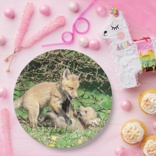 Red Fox Kits Playing Pappteller (Party)