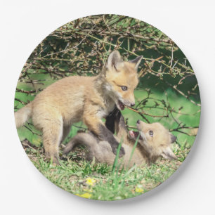 Red Fox Kits Playing Pappteller