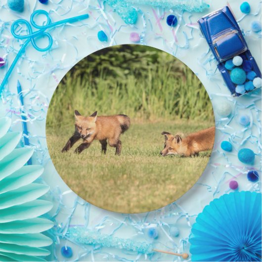 Red Fox Kits Playing Pappteller (Party)