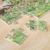 Red Fox Kits Playing Puzzle (Seite)