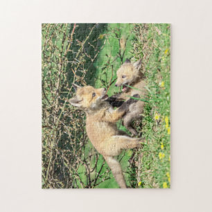 Red Fox Kits Playing Puzzle